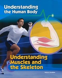 Understanding Muscles and the Skeleton (Understanding the Human Body)