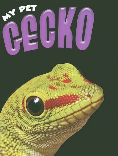 Gecko by Rennay Craats