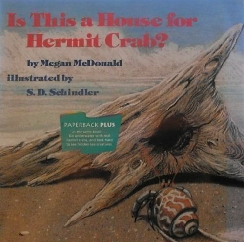 Is this a house for Hermit Crab? by Hm