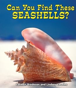 Can You Find These Seashells?