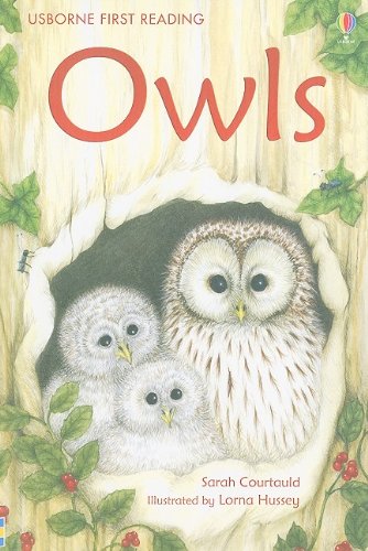 Owls (Usborne First Reading: Level 4) by Sarah Courtauld