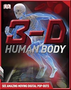 3-D Human Body