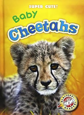 Baby Cheetahs