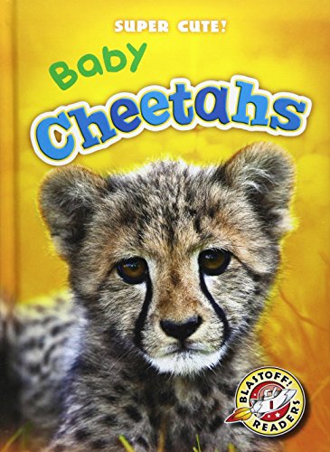 Baby Cheetahs by Christina Leaf
