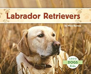 Labrador Retrievers