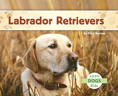 Labrador Retrievers