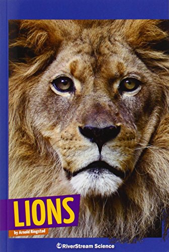 Lions by Arnold Ringstad