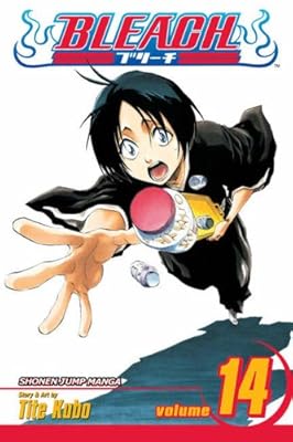 Bleach, Vol. 14