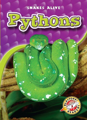 Pythons by Colleen Sexton