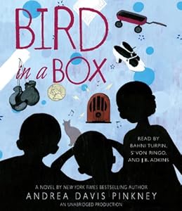 Bird in a Box