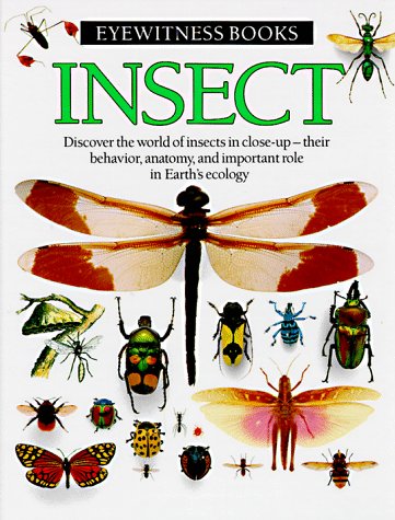 Insect by Dorling Kindersley Ltd