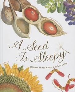 A Seed is Sleepy