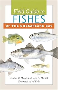 Field Guide to Fishes of the Chesapeake Bay by Edward O. Murdy