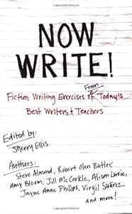 Now Write!: Fiction Writing Exercises from Today's Best Writers and Teachers by Sherry Ellis