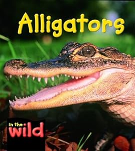 Alligators (In the Wild)