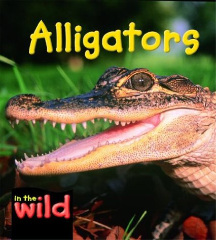 Alligators (In the Wild) by Patricia Kendell