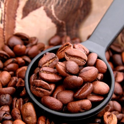 Kenia AB Kaffee 500 g fein gemahlen