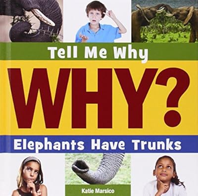 Elephants have trunks