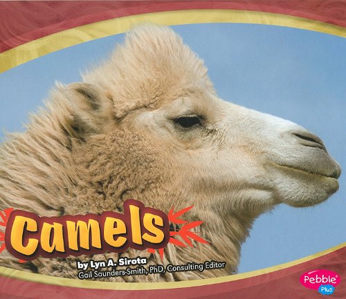 Camels by Lyn A. Sirota