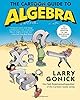The Cartoon Guide to Algebra