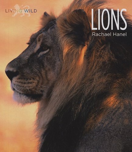 Lions (Living Wild) by Rachael Hanel