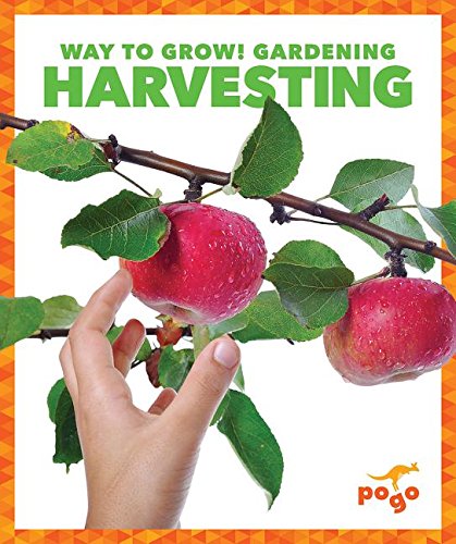 Harvesting by Rebecca Pettiford