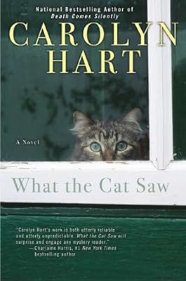 What the cat saw