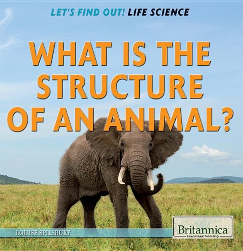 What Is the Structure of an Animal? by Louise Spilsbury
