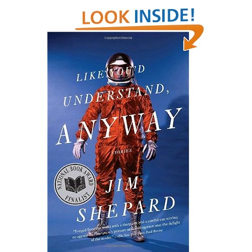 Like You'd Understand, Anyway (Vintage Contemporaries)