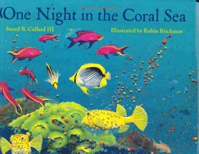 One Night in the Coral Sea