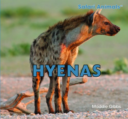 Hyenas by Maddie Gibbs
