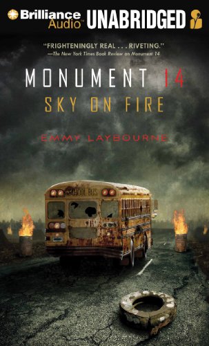 Sky on Fire by Emmy Laybourne