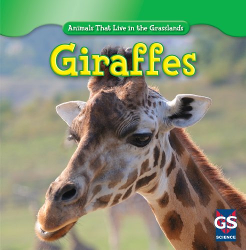 Giraffes by Mary Molly Shea