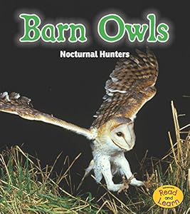 Barn Owls: Nocturnal Hunters