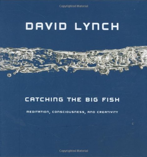 Catching the Big Fish: Meditation, Consciousness, and Creativity by David Lynch