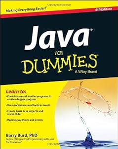 Java For Dummies by Burd
