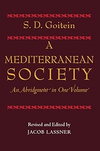 Mediterranean Society, An Abridgment in One Volume by S. D. Goitein