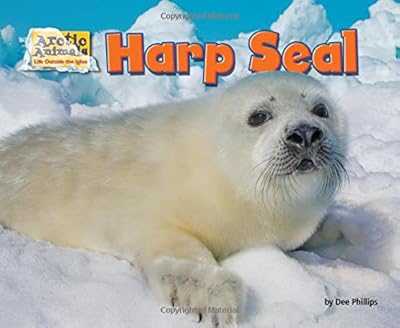 Harp Seal