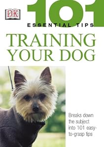 Training Your Dog (101 Essential Tips)