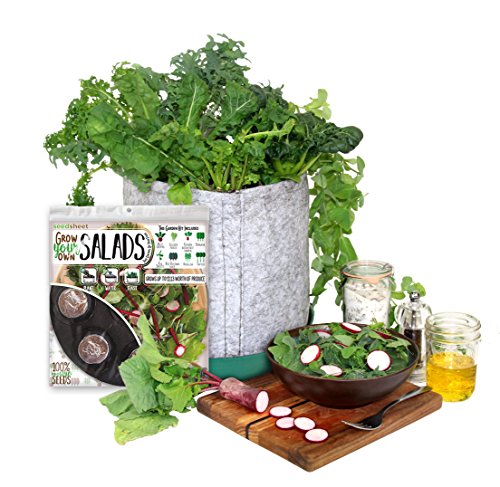 Algopix Similar Product 8 - Grow Your Own Salad Partial Kit