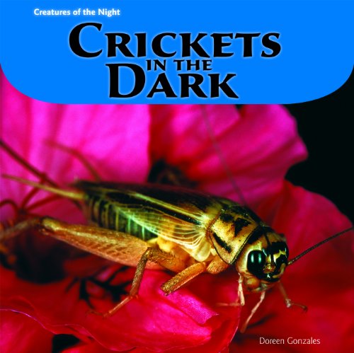 Crickets in the Dark by Doreen Gonzales
