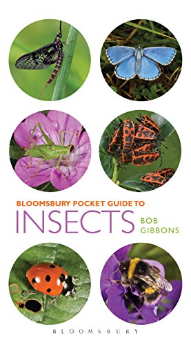 Pocket Guide to Insects by Bob Gibbons