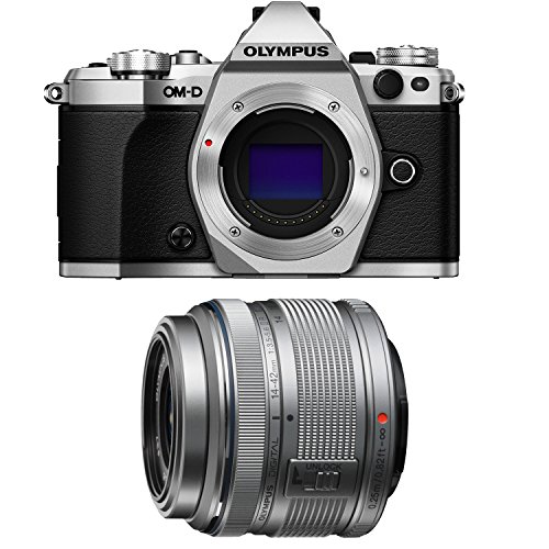 Algopix Similar Product 20 - Olympus OMD EM5 Mark II Silver