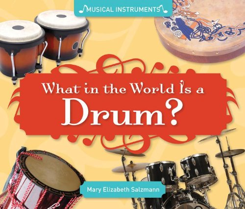 What in the World Is a Drum? by Mary Elizabeth Salzmann