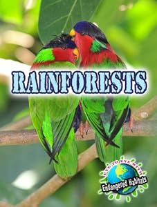 Rainforests (Eye to Eye with Endangered Habitats)