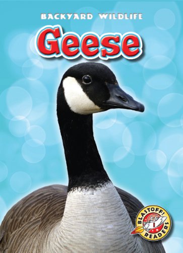 Geese by Megan Borgert-Spaniol