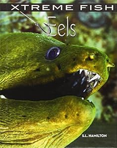 Eels