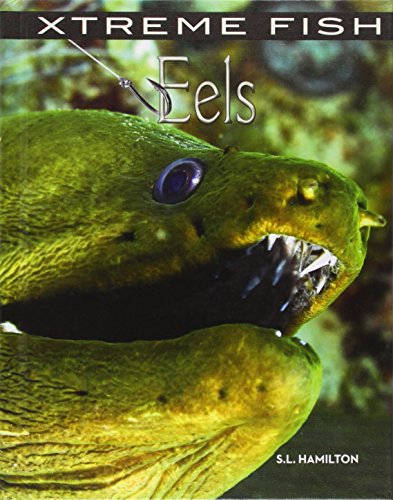 Eels by S. L. Hamilton