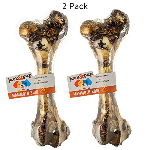 Algopix Similar Product 1 - JackPup Premium Grade Roasted Beef