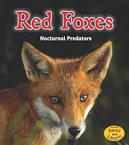 Red Foxes: Nocturnal Predators by Rebecca Rissman